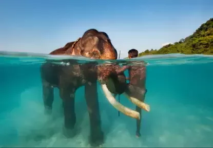 Havelock Island Beaches India