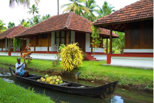 Wholeheart Women's Kerala Retreat 2028