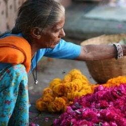 Flower Markets Jaipur City Tour
