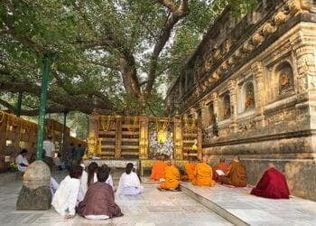 Bodhi tree Meditation Bodhgaya