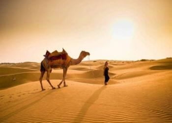 Camel Ride in Jaisalmer