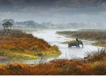 Chitwan National Park Chitwan