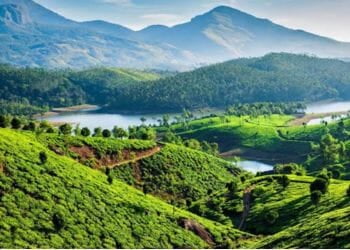 Munnar City Kerala