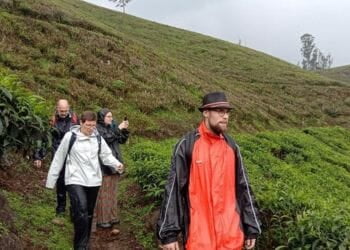tea Plantations walk in Munnar