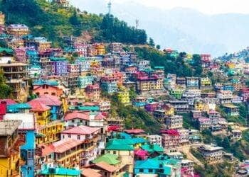 Shimla City View