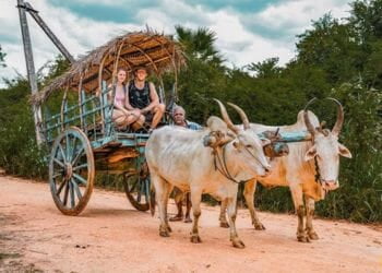 Sigiriya Cultural Village Tour