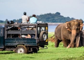 Yala Jeep Safari 