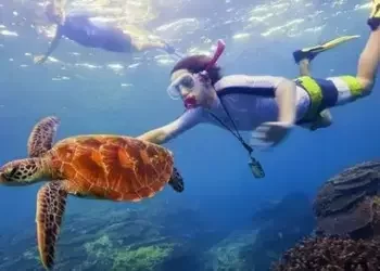 havelock island snorkelling