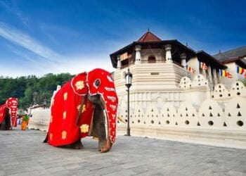 kandy tooth relic temple