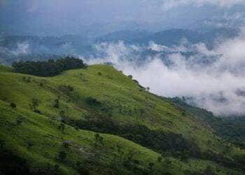 wayanad City View