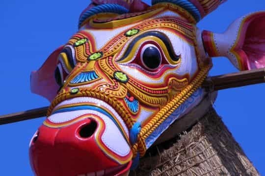 Travel guide india