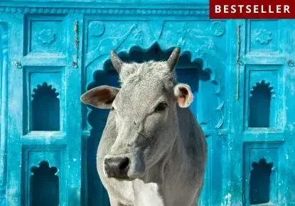 Streets of Jaipur - First Timer Tour of India Itinerary