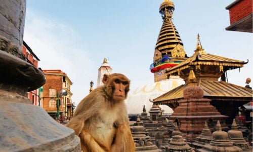 Nepal Luxury Private Tours
