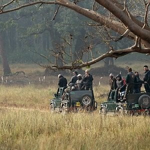 Kanha Park with Jeep Safaris