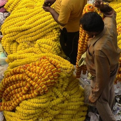 Kolkata Flower Market Tours