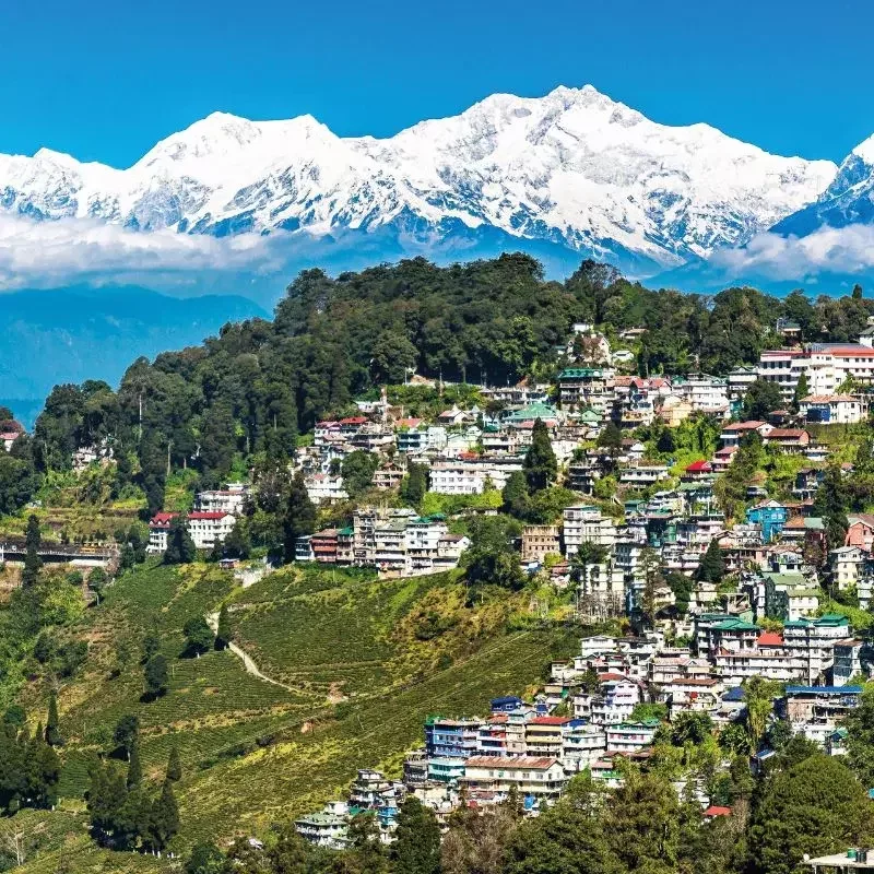 Luxury Darjeeling Private Tours