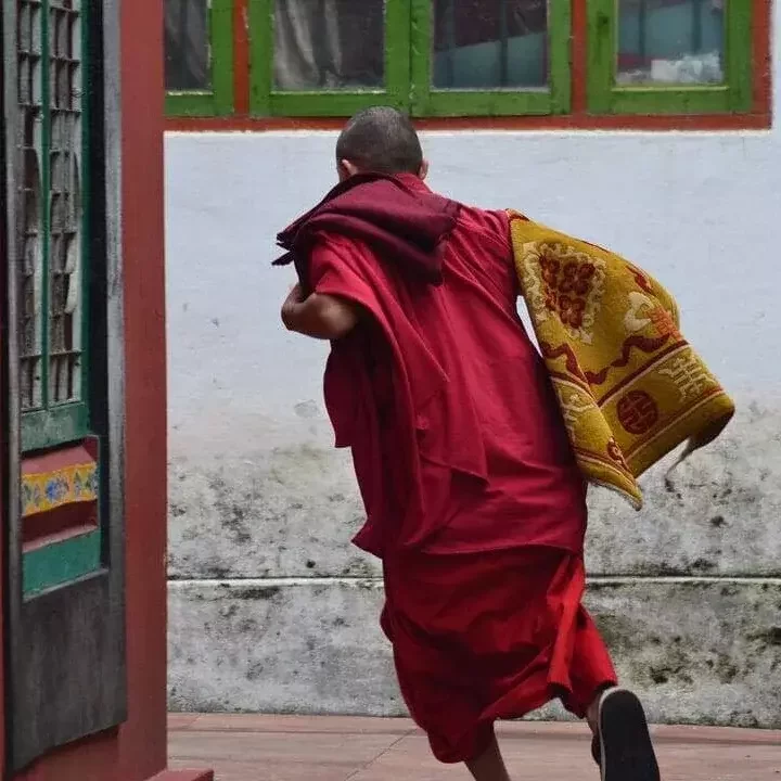 Luxury East India Private Tours