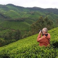 Visit to Tea Plantations
