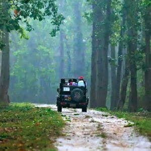 National Parks India Jeep Safaris