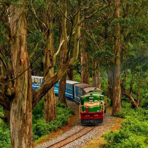 Ooty Private Tour