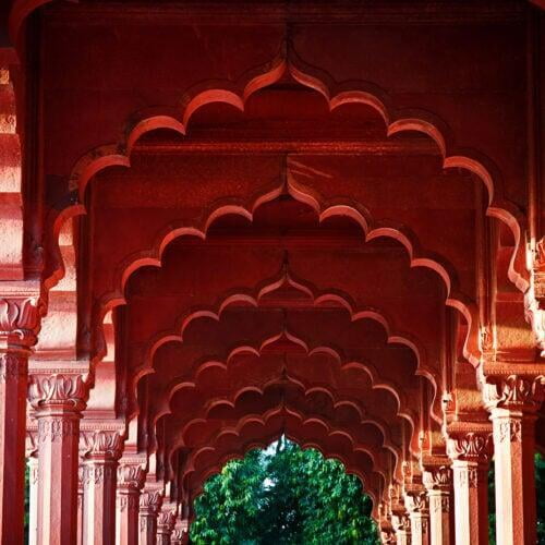 Taj, Temples & Tigers Tour