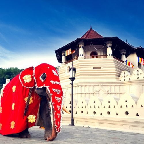 Sri Lanka Luxury Tours