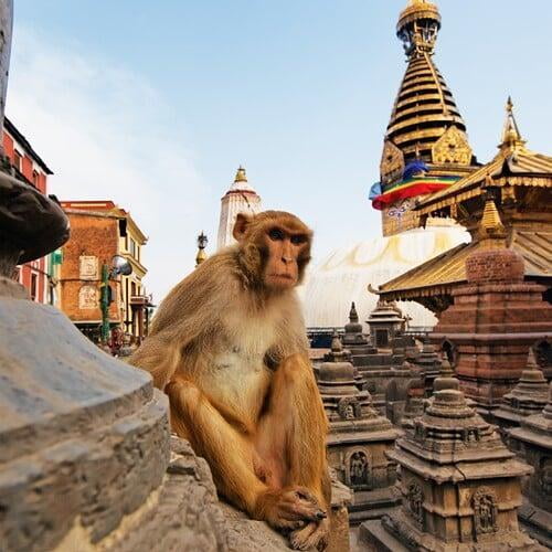Nepal Luxury Tour