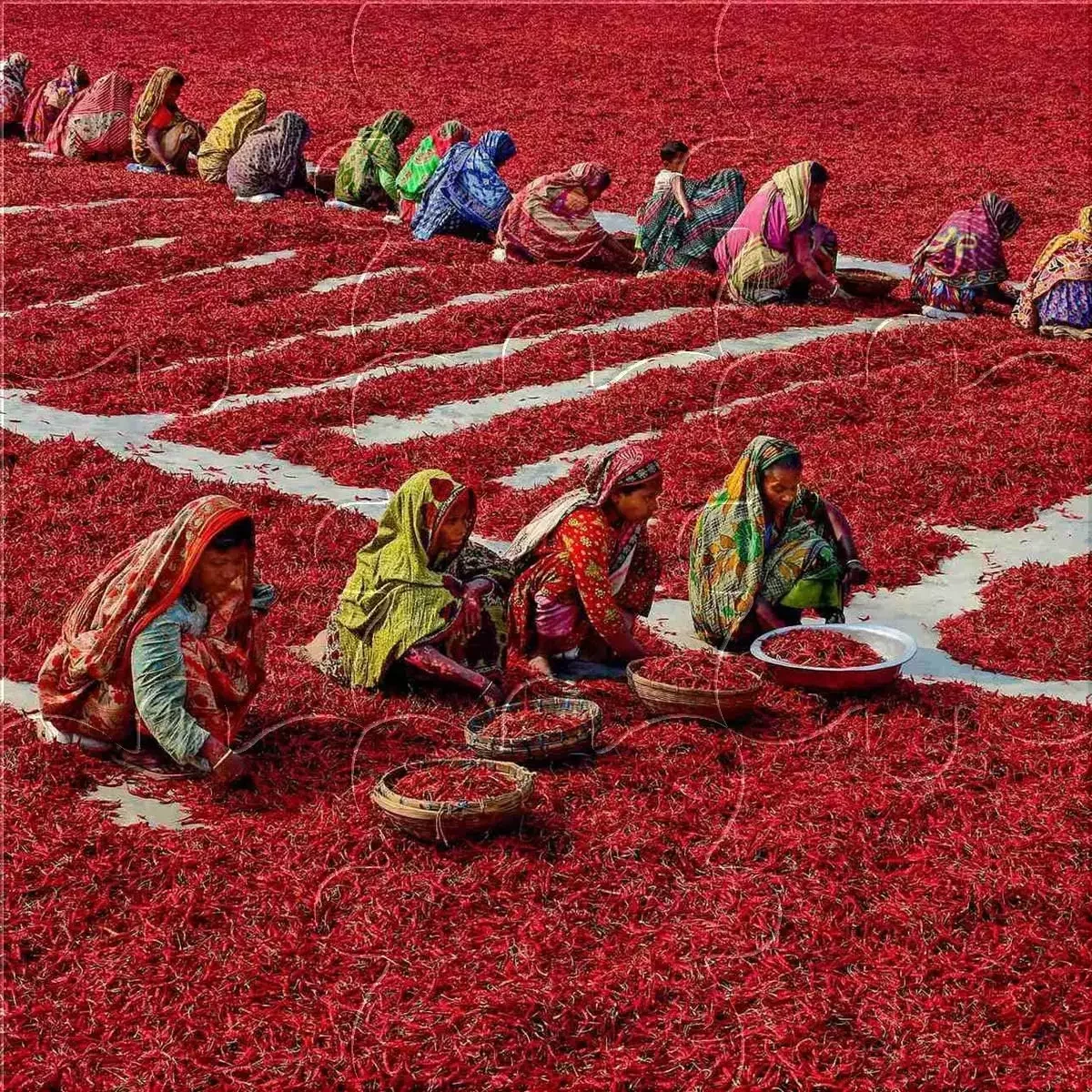 When is the best time to visit India