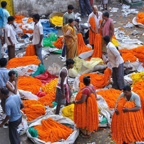 Flower Market Kolkata Walk