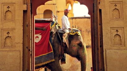 India Elephant Ride